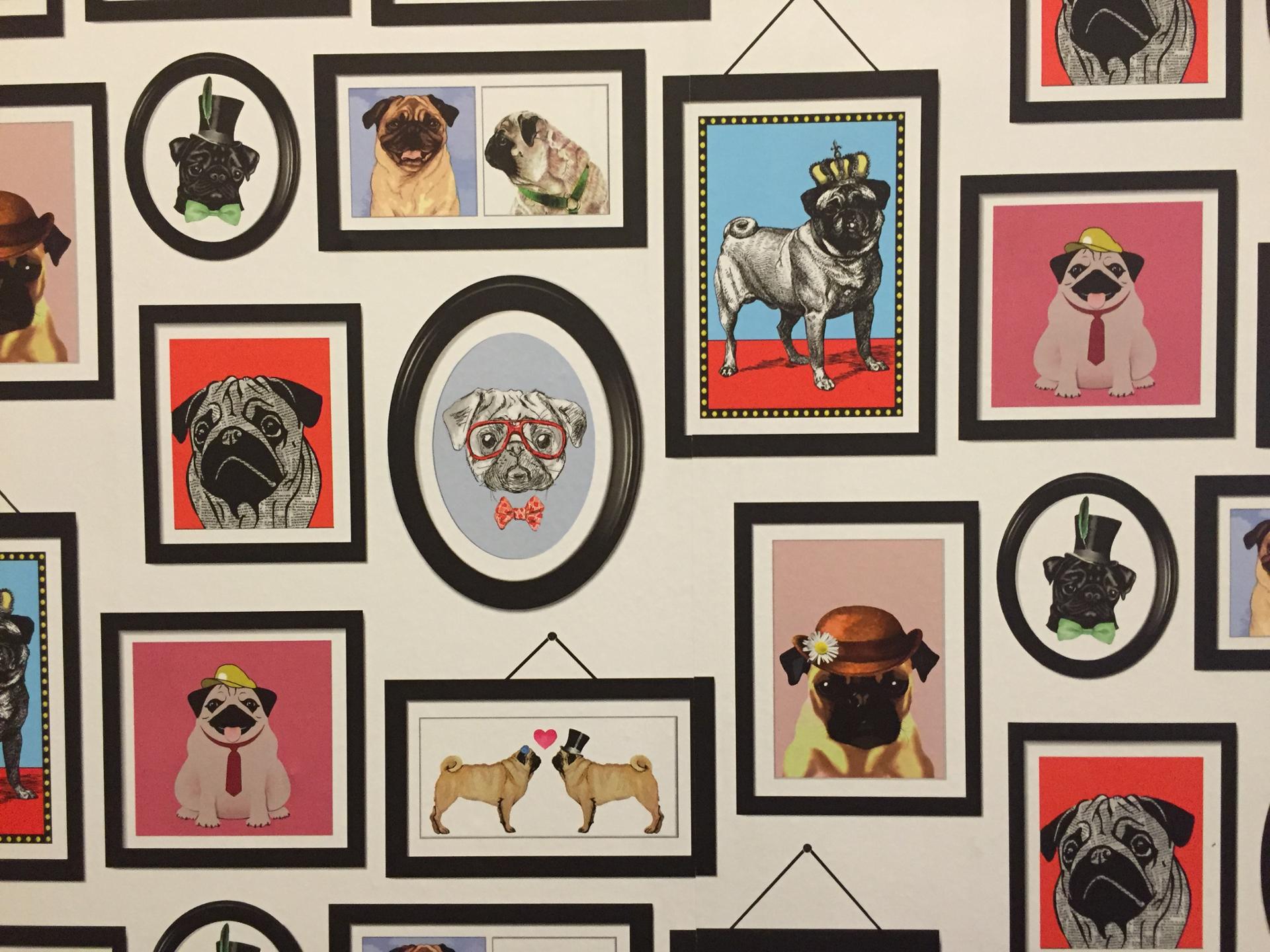 Funny classrooms2 @ Mountlands.jpg